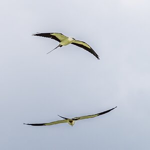 JRV00594-Edit.jpg