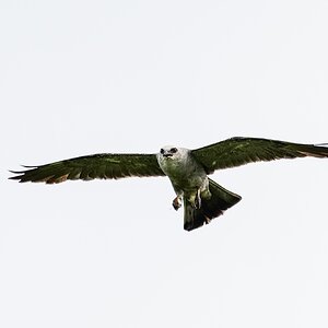 JRV00569-Edit.jpg