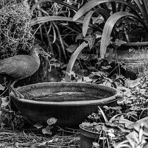 20210131132925-22.jpg