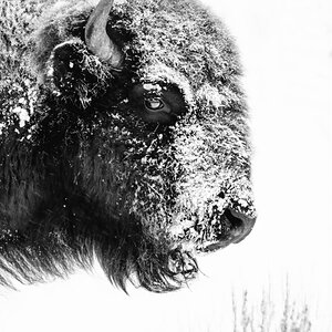 _A7R9817-Edit-Edit.jpg