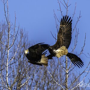 6CEECB8B-336C-4207-AB51-B457BAA10D18.jpeg