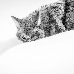 _A928199-Edit-Edit.jpg
