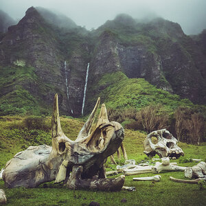 Kualoa 3-21-21.jpg