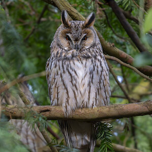 A7405852-Verbeterd-NR.jpg