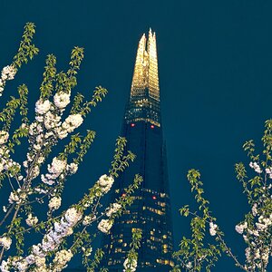 25S00055LONDON shard night.jpg