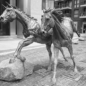 25A00895LONDON goodmans horses.jpg
