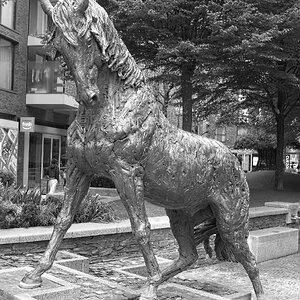 25A00897LONDON goodmans horses.jpg