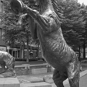 25A00898LONDON goodmans horses.jpg