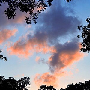 Sunset3 SM Final.jpg