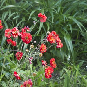 25A03892from RAW iso 50.jpg