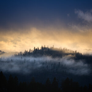 _DSC1306-Edit.jpg