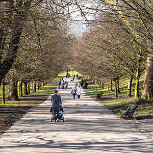 walk in the park-2.jpg