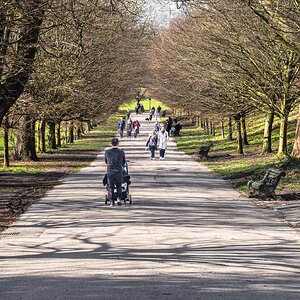 walk in the park-4.jpg