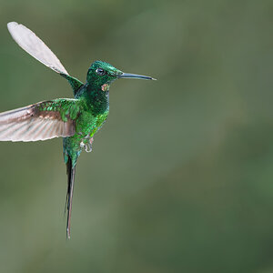Empress-Brilliant_DSC2602-Edit.jpg