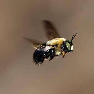 JRV00982-ARW_DxO_DeepPRIME.jpg
