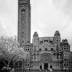 DSC04119LONDON westminster 2.jpg