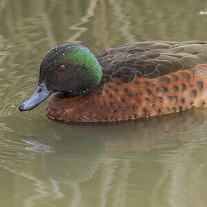Few Spots 17-5-2025 (827).JPG
