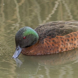Few Spots 17-5-2025 (834).JPG