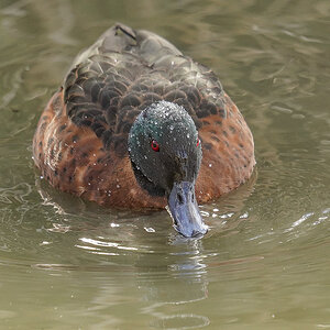 Few Spots 17-5-2025 (844).JPG