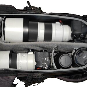 ThinkTankBacklight26L1.JPG