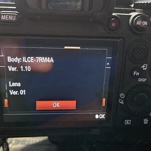 Sony Software Version screen.jpg