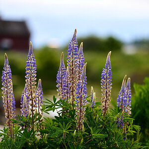 A1_09755.jpg