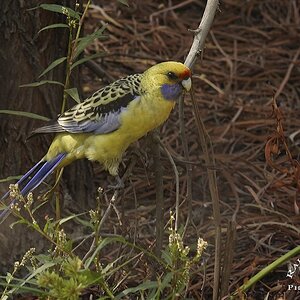 Wetlands by Two 8-04-2025 (45).JPG