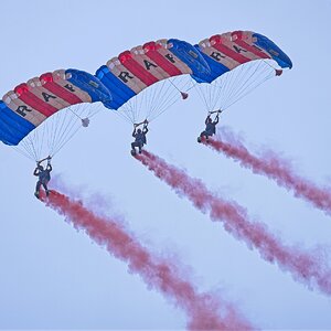 25A06153COSFORD falcons.jpg