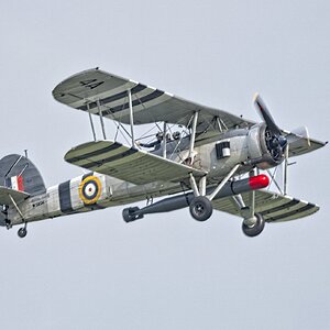 25A09456COSFORD swordfish.jpg