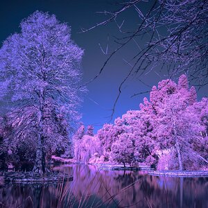 _7RV6085_Infra_Red_Test_2.jpg