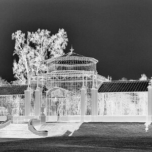 _7RV6072_IR_B&W.jpg