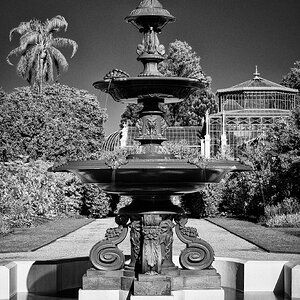 _7RV6077_IR_B&W.jpg