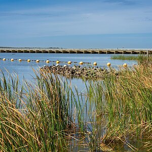 _7RV5233_Goolwa_Barrage.jpg