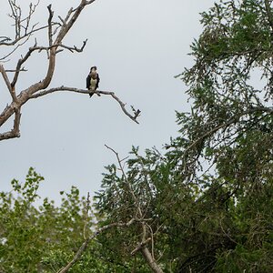 A7R08199-NR-20250524-171517.jpg