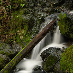 Cataract Creek Mountain Stream