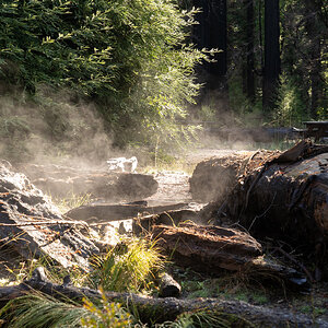 Steaming Logs