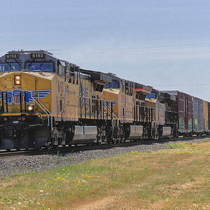 20240814-DSC01442-ARW.jpg