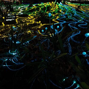 _7RV6216_Illuminate_Adelaide.jpg