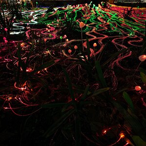 _7RV6217_Illuminate_Adelaide.jpg