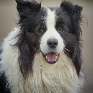 ILCE-1M2FE 50-150mm F2 GM copy14.jpg