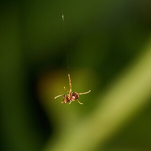 Ant - Home - 08022025 - 02 - DN.jpg