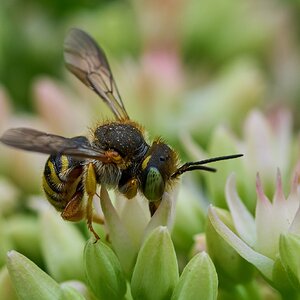 Nomad Bee - Home - 07272025 - 01 - DN.jpg