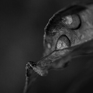 3316v3BW.jpg