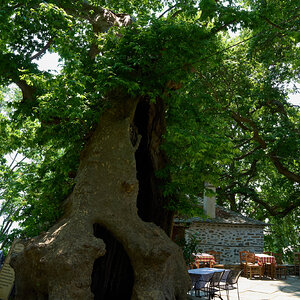 mt pelion crete 2025-8.jpg