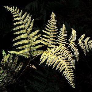 20250903-_DSC3442-Edit.jpg