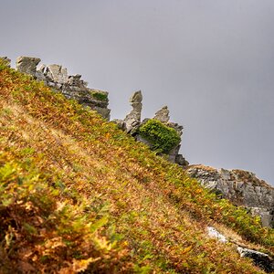 valley of the rocks-4.jpg