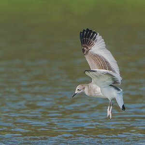 _DSC4946-Edit.jpg
