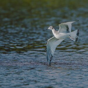 _DSC5242-Edit.jpg