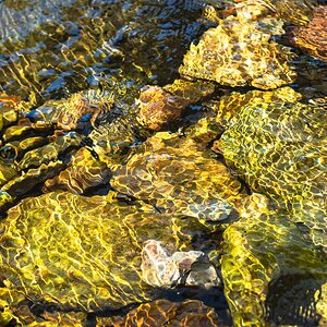 water colours-4.jpg