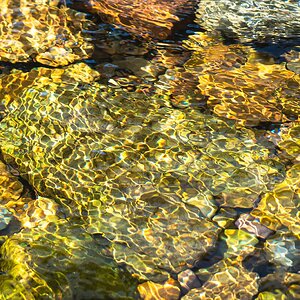 water colours-3.jpg